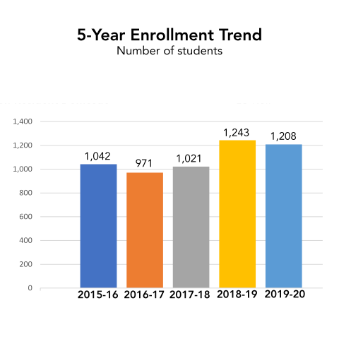 5 Year enrollment trend