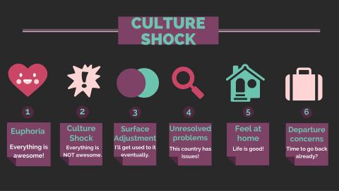 Cultural Adjustment Steps